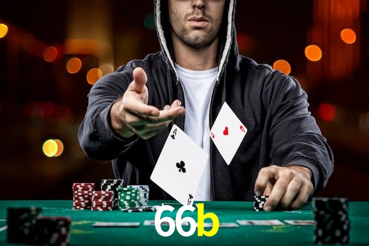 66b.com